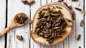 Travaux de recherche 6